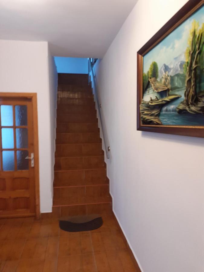 Casa Azugeana Azuga Exteriér fotografie